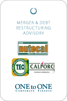 Mergers Advisory