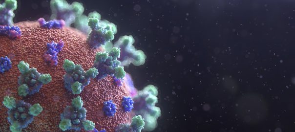 crisis coronavirus