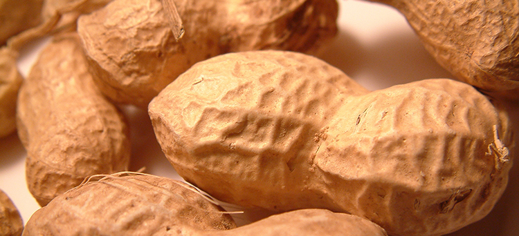 importance of M&A advisors