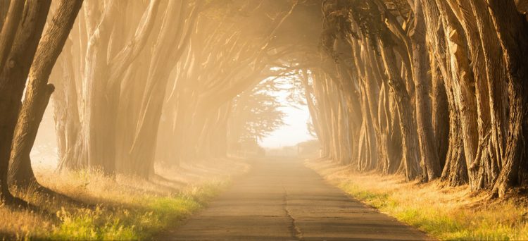 Six Steps to a Great Business Plan