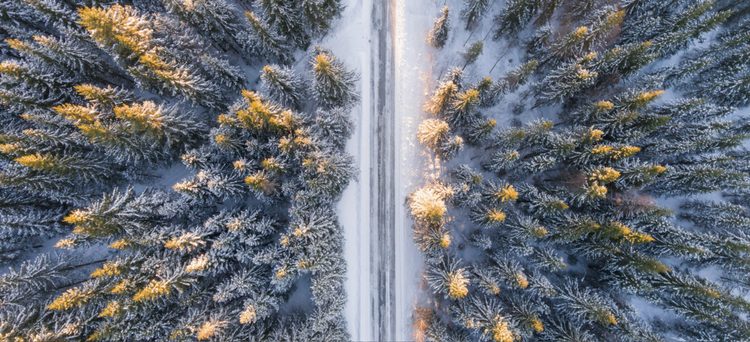 En que sector debes buscar empresas para invertir