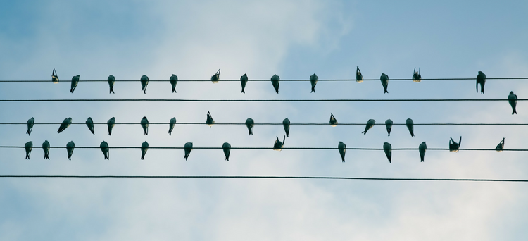 In business, the key to success is alignment