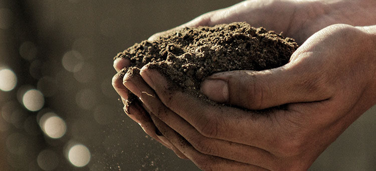 Proyectos Agrícolas y el Crowdfunding