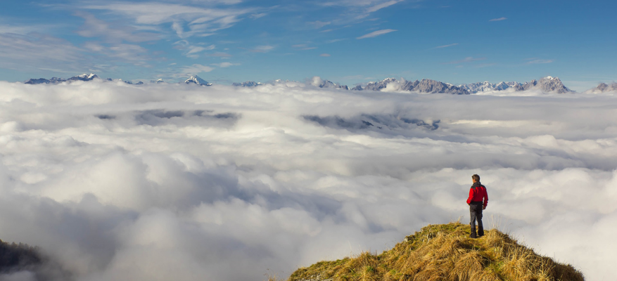 Private equity firms