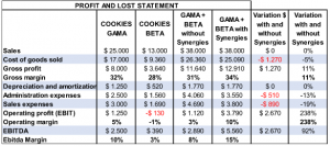 Profit and loss statement 