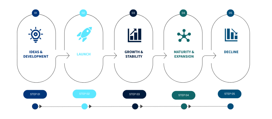 Phases of Company Growth