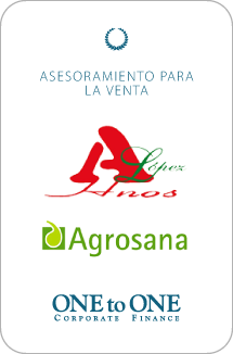 Transactions_AZOHIA - ES