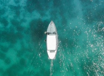 Selling Your Company Without Leaving It Behind