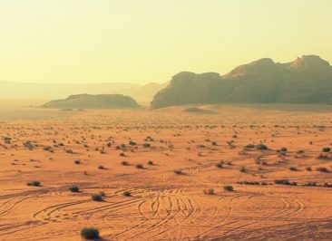 Valoración de tu compañía