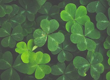 blog_compraventaempresas_ONEtoONE_ten_suerte