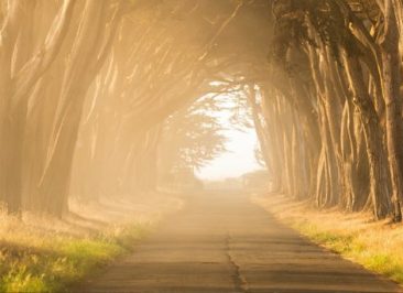 Six Steps to a Great Business Plan