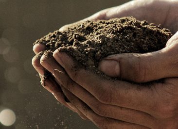 Agriculture Projects and Crowdfunding