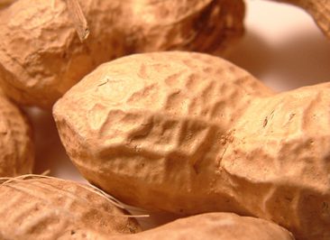 importance of M&A advisors