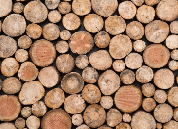 ONEtoONE has acted as the exclusive financial advisor to our client, van Hoorebeke Timber, in the sale of their company to van Steenberge.