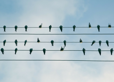 In business, the key to success is alignment